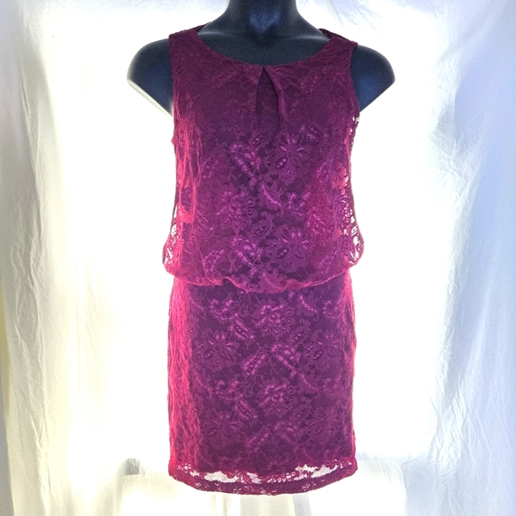 Lovely Lace Dress EUC - Picture 1 of 10